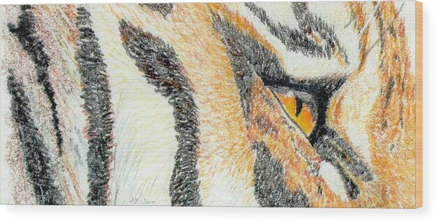 Tiger Wood Print featuring the drawing Tiger Amber by Stephanie Grant