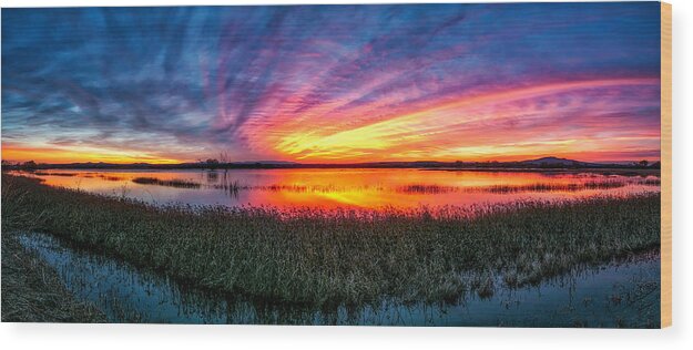 Sunrise Wood Print featuring the photograph Bosque Sunrise by Kristal Kraft