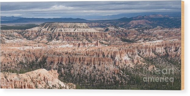 Bryce Canyon National Park Wood Print featuring the photograph Bryce Canyon Overlook by Sandra Bronstein