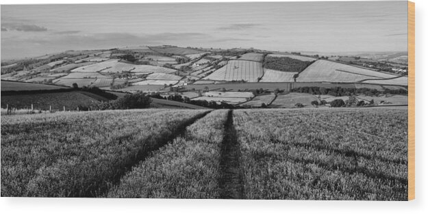 Exe Valley Wood Print featuring the photograph Exe valley in Devon by Pete Hemington