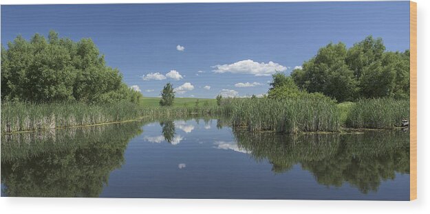 Agriculture Wood Print featuring the photograph Here's to Me by Jon Glaser