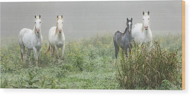 Wild Horses Wood Print featuring the photograph Out of the Mist, 2 by Holly Ross