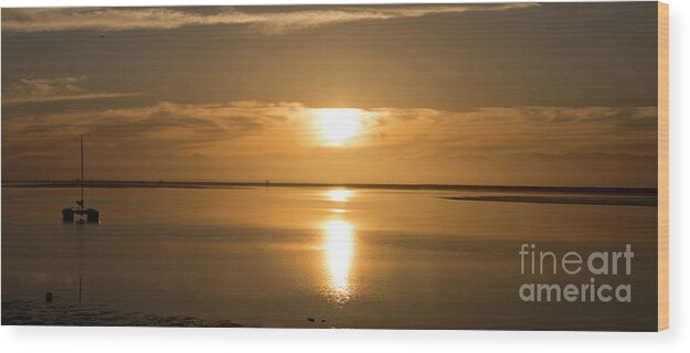 Tasman Bay Wood Print featuring the photograph Panorama of sunset at Tasman Bay by Sheila Smart Fine Art Photography