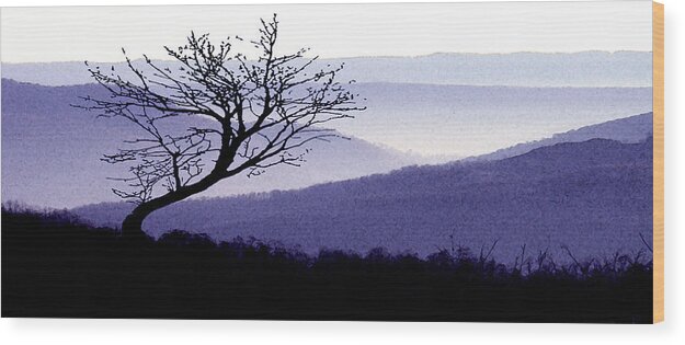 Mountains Wood Print featuring the photograph Purple Mountains by Andrew Giovinazzo