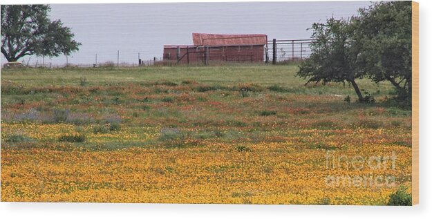 Barns Wood Print featuring the photograph Red Barn in Wildflowers by Toma Caul