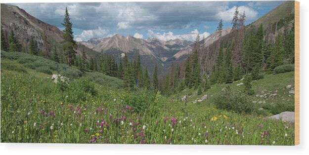 Redcloud Peak Wood Print featuring the photograph Redcloud and Sunshine Summer Panorama by Cascade Colors