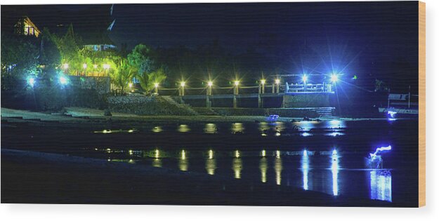 stock Images Wood Print featuring the photograph Tropical Lights by James BO Insogna