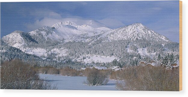 Mammoth Mountain Wood Print featuring the photograph A Windy Winter Morning - Mammoth Mountain by Bonnie Colgan