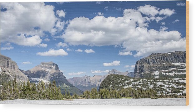 Art Wood Print featuring the photograph Summer Snow by Jon Glaser