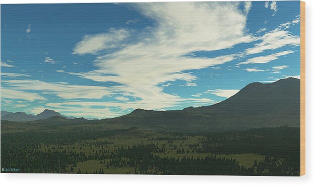 3d Wood Print featuring the painting Big Sky by Williem McWhorter