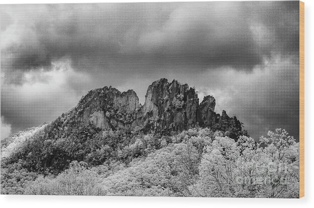 Seneca Rocks Wood Print featuring the photograph Seneca Rocks by Pam DeCamp