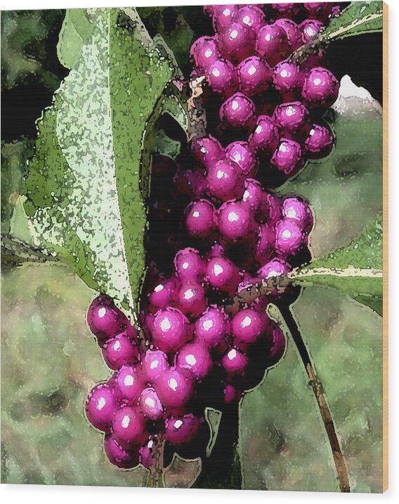 Berries Wood Print featuring the photograph Berries by George Gadson