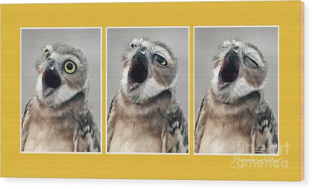 Burrowing Owls Wood Print featuring the photograph Huge Yawn - Gold no. 1 by Brenda Priddy