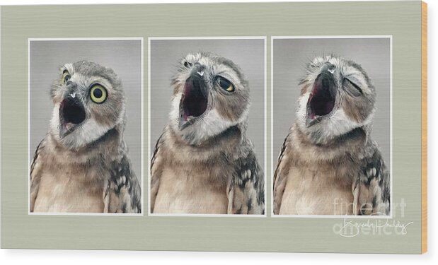 Burrowing Owls Wood Print featuring the photograph Huge Yawn - Stingray Green by Brenda Priddy