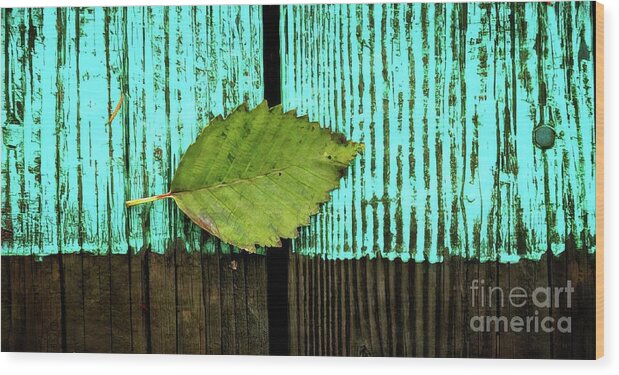 Docks Wood Print featuring the photograph Turquoise plank, 2004 by Michael Ziegler