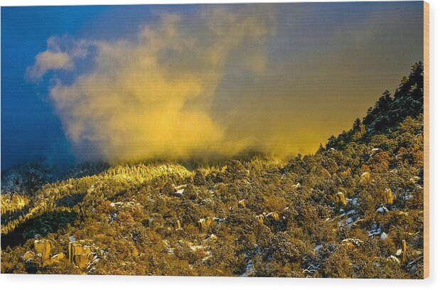 Sandia Mountains Wood Print featuring the photograph Snow sweeping in low by Tommy Farnsworth