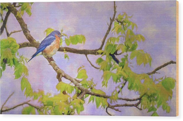 Bird Wood Print featuring the photograph Eastern Blue Bird by Pam DeCamp