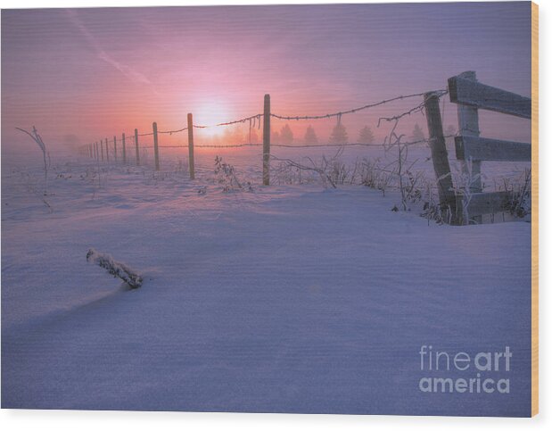 Frosty Wood Print featuring the photograph Frost and Fenceline by Dan Jurak