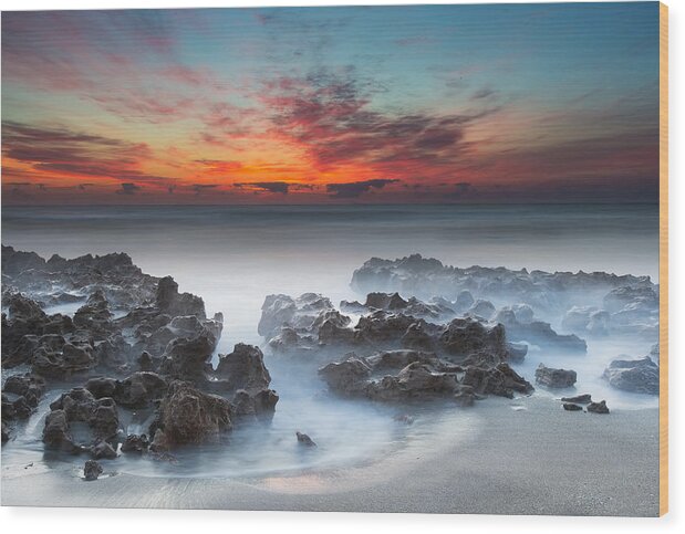 Coral Cove Wood Print featuring the photograph Sunrise at Blowing Rocks Preserve by Andres Leon
