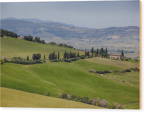Landscape Wood Print featuring the photograph Tuscany by Uri Baruch
