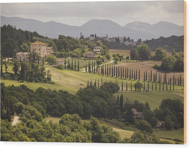 Umbria Wood Print featuring the photograph Umbria by Uri Baruch