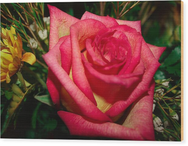 Red Rose Wood Print featuring the photograph Beautiful Rose by David Alexander