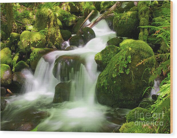 Stream Wood Print featuring the photograph Columbia Gorge Stream by Bruce Block