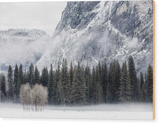 #faatoppicks Wood Print featuring the photograph A Winter's Morning by Ted Hesser