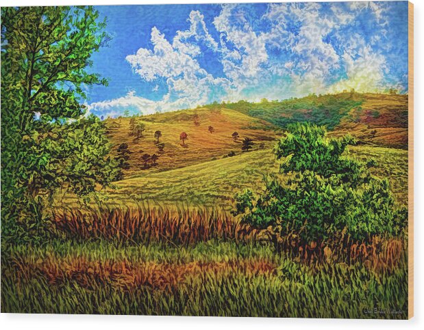 Joelbrucewallach Wood Print featuring the digital art Flowing Fields by Joel Bruce Wallach