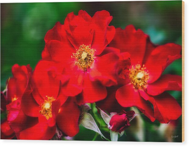 Rose Wood Print featuring the photograph Rose #5 by Bruce Block