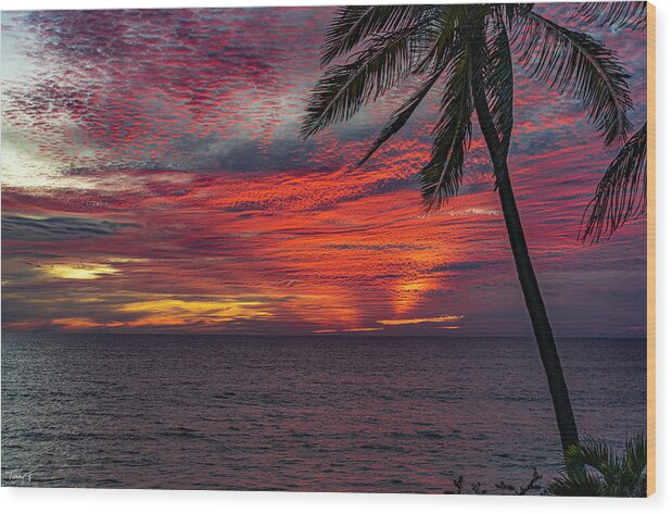 Mazatlan Wood Print featuring the photograph Mazatlan Sunsets #8 by Tommy Farnsworth