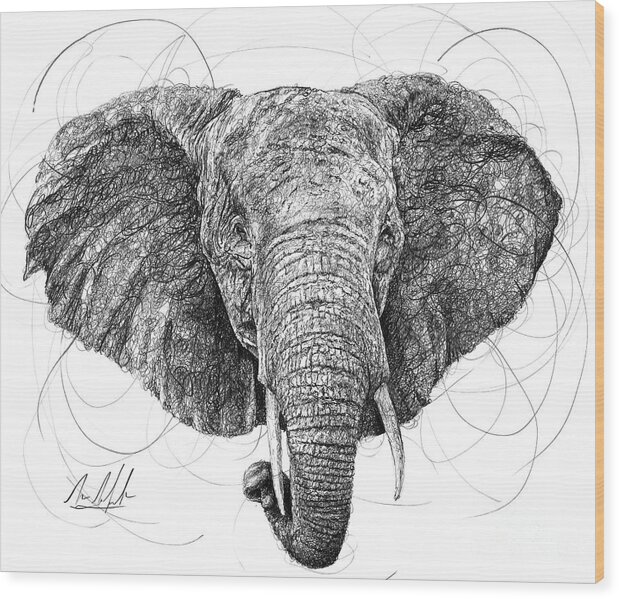 Elephant Wood Print featuring the drawing Elephant by Michael Volpicelli