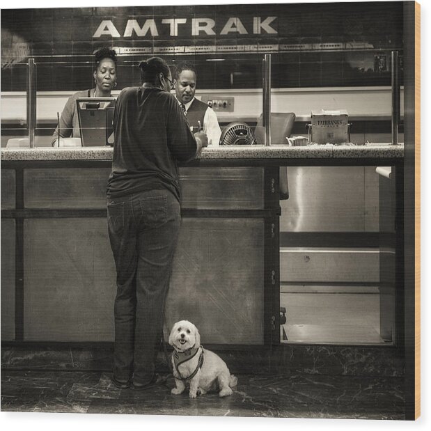 Amtrak Wood Print featuring the photograph The doggy wants a seat by the window.. by Michel Verhoef