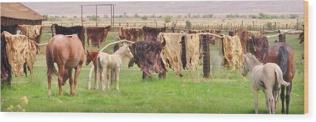 Hides Wood Print featuring the photograph Cow Hides by Marilyn Diaz