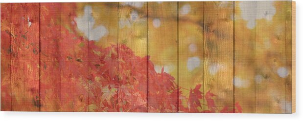 Autumn Wood Print featuring the photograph Autumn Outdoors 1 of 2 by Beverly Claire Kaiya