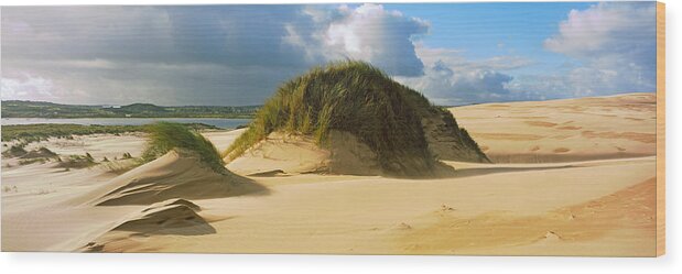 Photography Wood Print featuring the photograph Clouds Over Sand Dunes, Sands by Panoramic Images