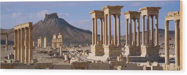 Photography Wood Print featuring the photograph Colonnades On An Arid Landscape by Panoramic Images