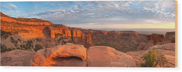  Grand Wood Print featuring the photograph Colorado National Monument by Darren Bradley