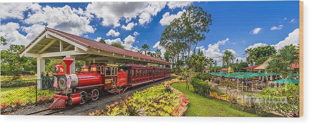 Dole Plantation Train Wood Print featuring the photograph Dole Plantation Train 3 to 1 Aspect Ratio by Aloha Art