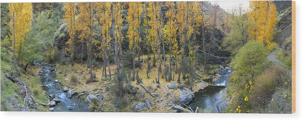 Tree Wood Print featuring the photograph Fall at the river by Guido Montanes Castillo