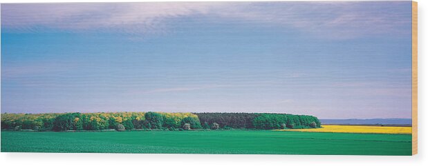 Photography Wood Print featuring the photograph Fin Island Denmark by Panoramic Images