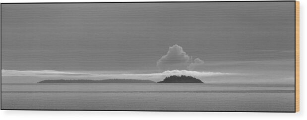 Island Wood Print featuring the photograph Flat Top Island BW by Bob VonDrachek