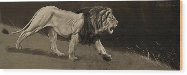 Digital Wood Print featuring the digital art Lion Sketch by Aaron Blaise
