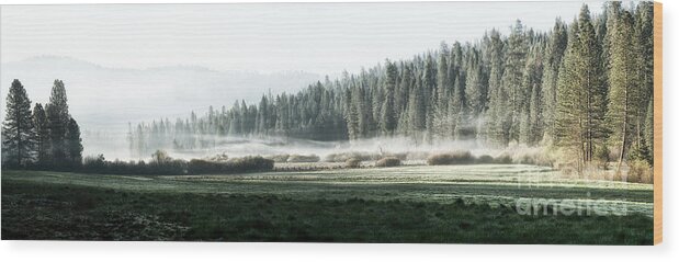 Yosemite Wood Print featuring the photograph Misty morning in Yosemite by Jane Rix