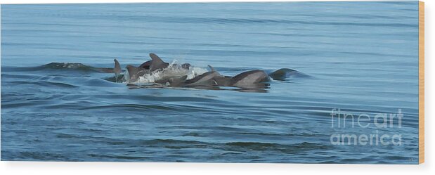 Pano Wood Print featuring the photograph Never swim alone by Sami Martin