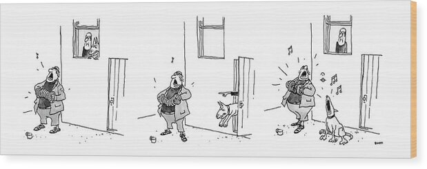 (3 Drawings. A Man Plays A Accordion Beneath A Window. The Man In Window Looks Annoyed And Puts Dog Out To Scare Him Away. The Dog Ends Up Howling Along With The Musician Instead.) Urban Wood Print featuring the drawing New Yorker August 31st, 1987 by George Booth