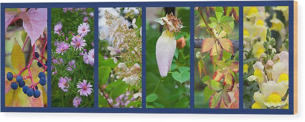 Garden Wood Print featuring the photograph October by Theresa Tahara