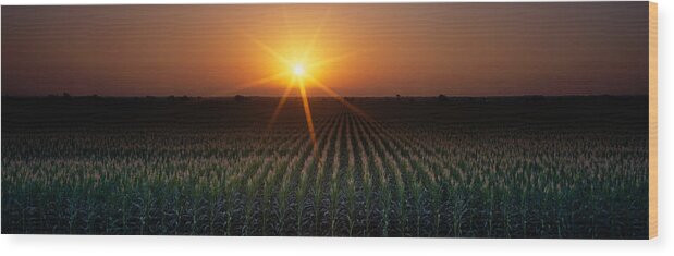 Photography Wood Print featuring the photograph Sunrise, Crops, Farm, Sacramento by Panoramic Images