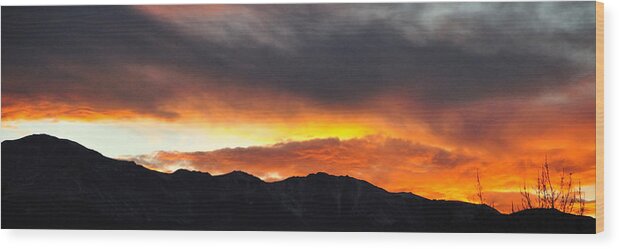 Sunset Wood Print featuring the photograph Sunset 12521 by Jerry Sodorff