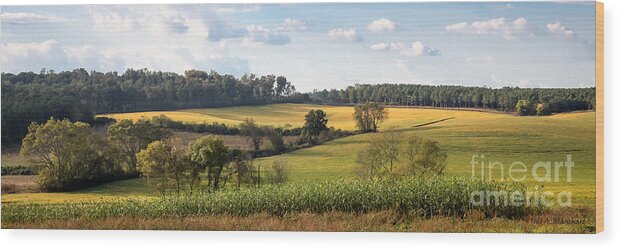 Landscape Wood Print featuring the photograph Tennessee Valley by Todd Blanchard
